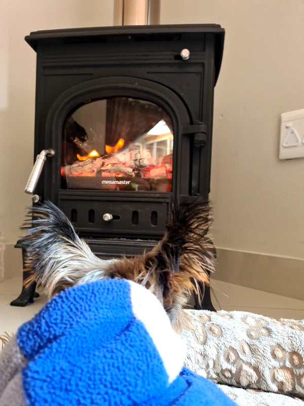 Cast Iron Fireplace User Manual