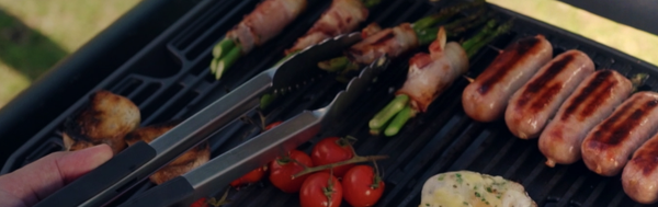 Which Megamaster Braai Suits Your Lifestyle?