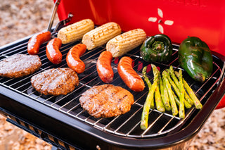 Megamaster Traverse Portable Charcoal Braai