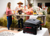 Active Portable Gas Braai