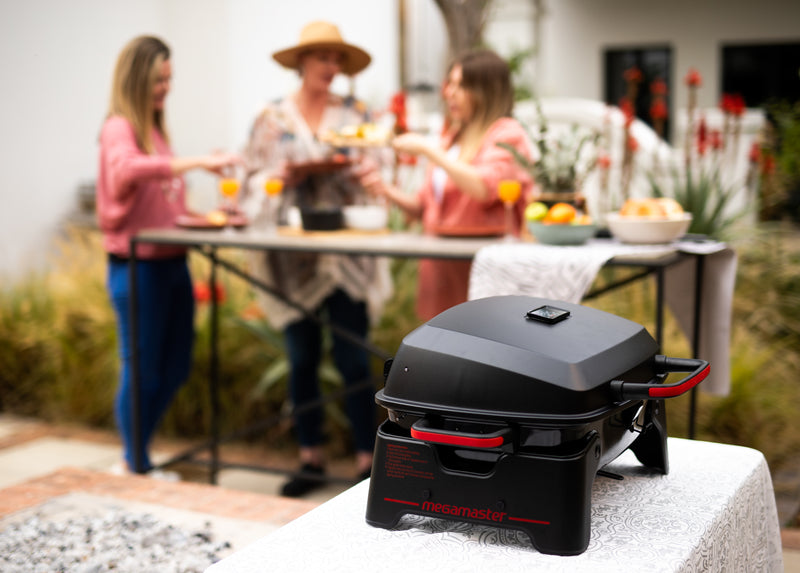 Active Portable Gas Braai